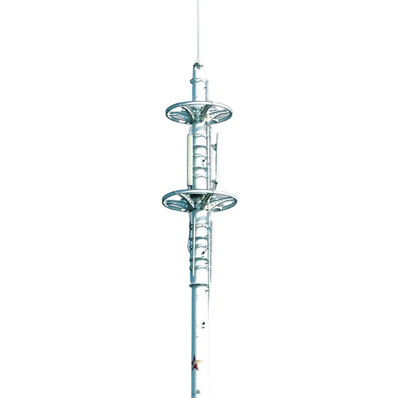 Double-Rudder Style Landscape Ground-Mounted Communication Tower Double-Rudder Style Landscape Ground-Mounted Communication Tower
