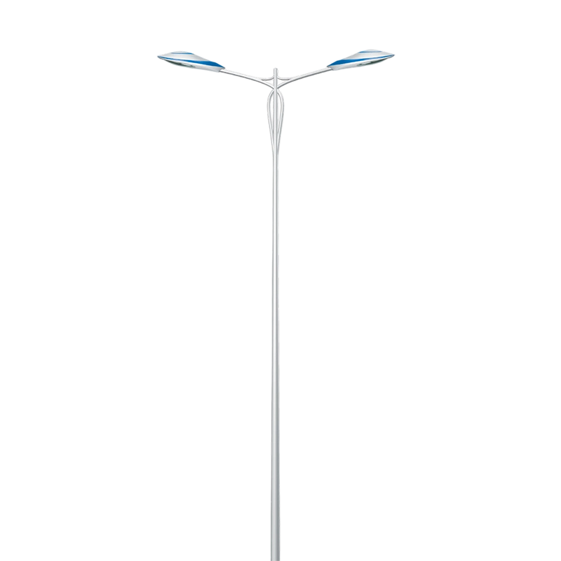 Urban Roadside Aesthetic LED Double-Arm Landscape Light