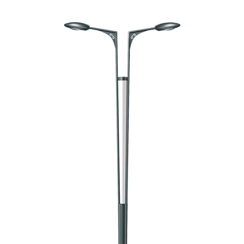 Modern Aesthetic Dual-Arm Decorative Street Light