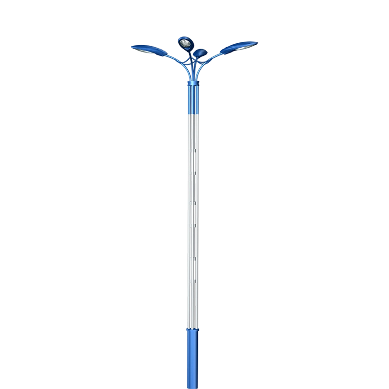 Streamlined Bionic Road Lamp